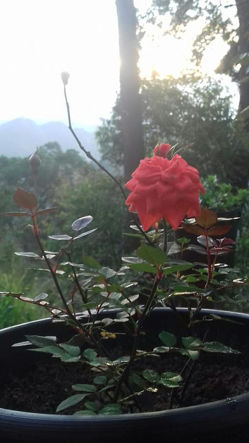 Opal Cottage Ella Luaran gambar